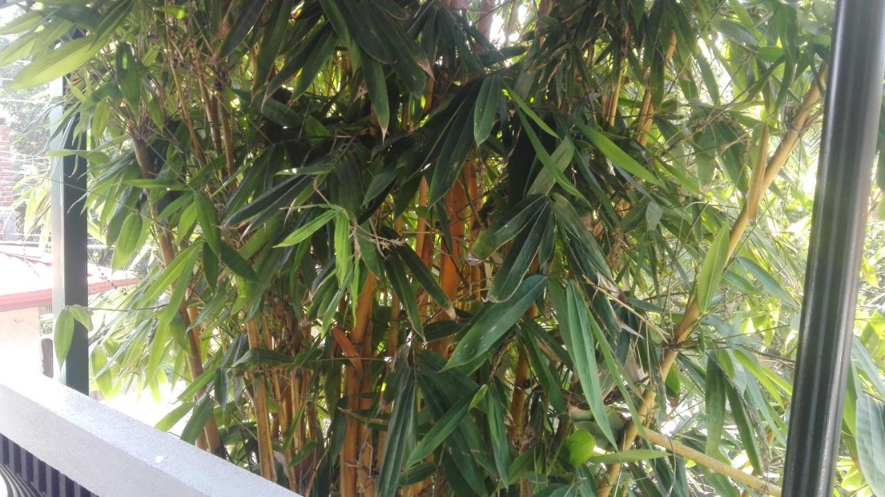 Mango Roots Daire Gampaha Dış mekan fotoğraf