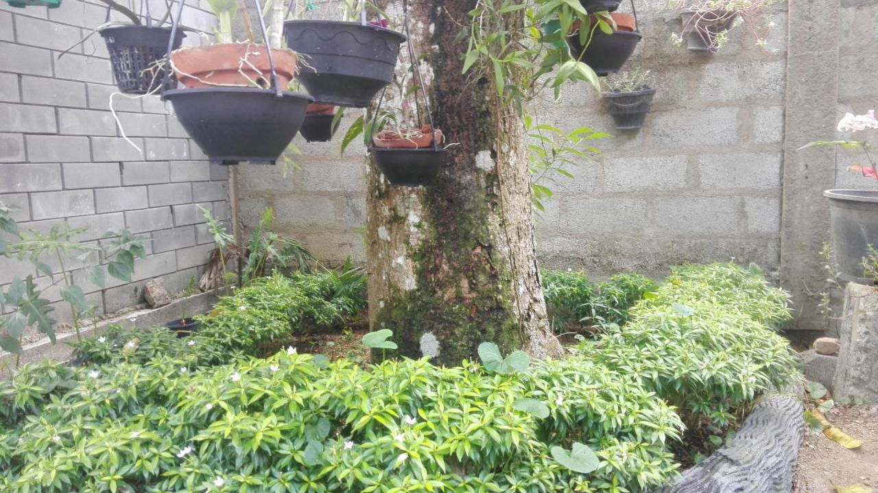 Mango Roots Daire Gampaha Dış mekan fotoğraf
